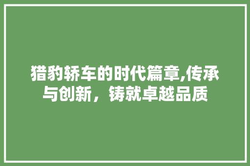 猎豹轿车的时代篇章,传承与创新，铸就卓越品质