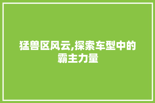 猛兽区风云,探索车型中的霸主力量
