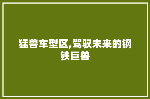 猛兽车型区,驾驭未来的钢铁巨兽