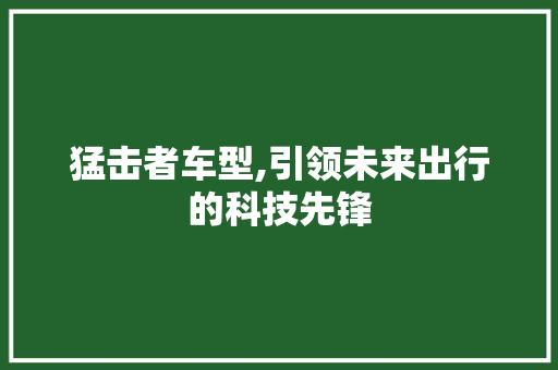 猛击者车型,引领未来出行的科技先锋