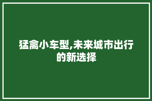 猛禽小车型,未来城市出行的新选择