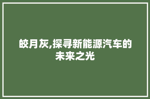 皎月灰,探寻新能源汽车的未来之光 新能源汽车