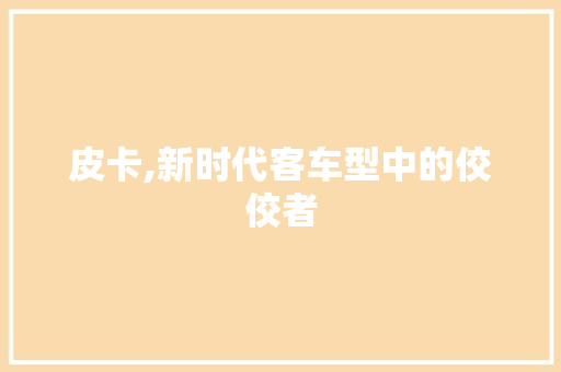 皮卡,新时代客车型中的佼佼者