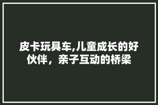 皮卡玩具车,儿童成长的好伙伴，亲子互动的桥梁