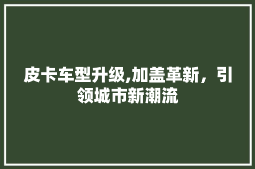 皮卡车型升级,加盖革新，引领城市新潮流 变速箱配件