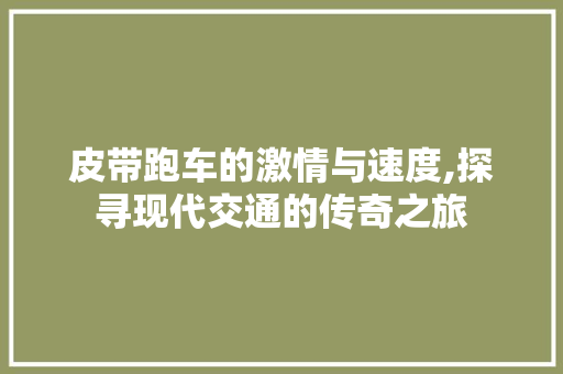 皮带跑车的激情与速度,探寻现代交通的传奇之旅