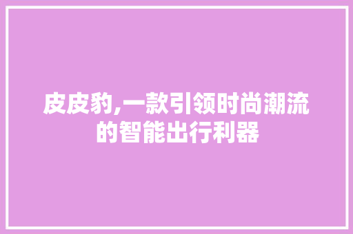 皮皮豹,一款引领时尚潮流的智能出行利器
