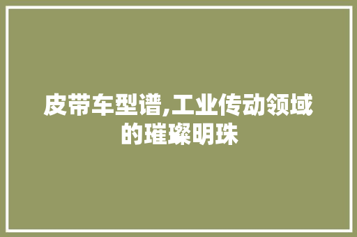 皮带车型谱,工业传动领域的璀璨明珠