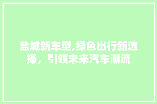 盐城新车型,绿色出行新选择，引领未来汽车潮流