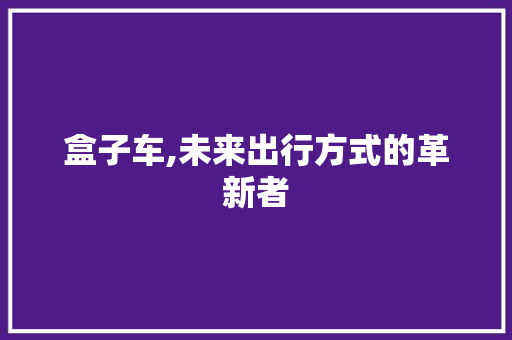 盒子车,未来出行方式的革新者