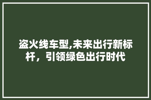 盗火线车型,未来出行新标杆，引领绿色出行时代