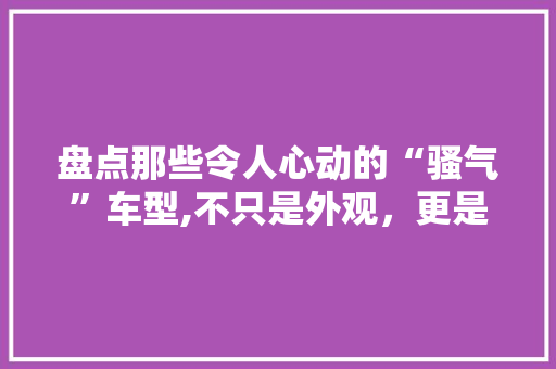 盘点那些令人心动的“骚气”车型,不只是外观，更是灵魂的释放