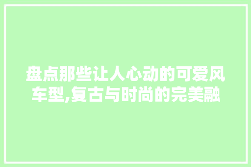 盘点那些让人心动的可爱风车型,复古与时尚的完美融合