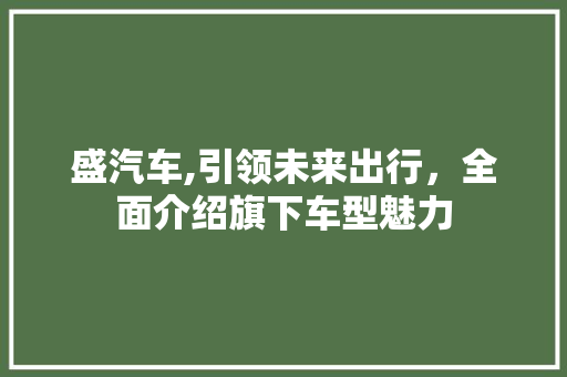 盛汽车,引领未来出行，全面介绍旗下车型魅力