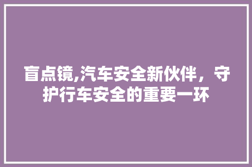 盲点镜,汽车安全新伙伴，守护行车安全的重要一环