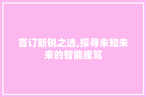 盲订新锐之选,探寻未知未来的智能座驾