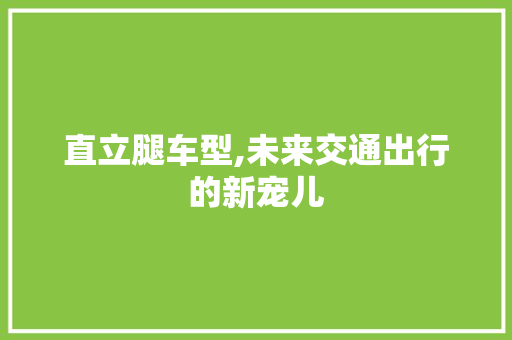 直立腿车型,未来交通出行的新宠儿