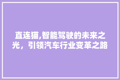 直连猫,智能驾驶的未来之光，引领汽车行业变革之路