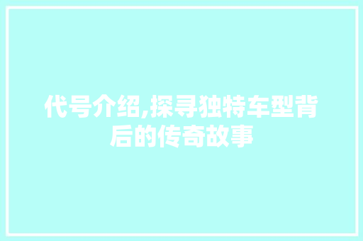 代号介绍,探寻独特车型背后的传奇故事