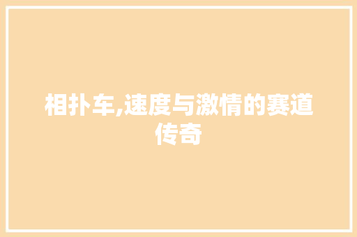 相扑车,速度与激情的赛道传奇 新能源汽车