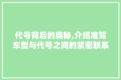 代号背后的奥秘,介绍准驾车型与代号之间的紧密联系
