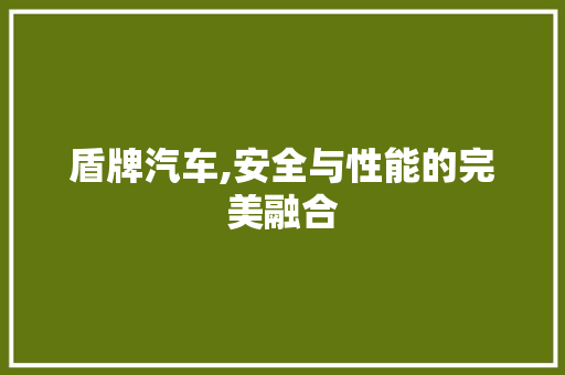 盾牌汽车,安全与性能的完美融合