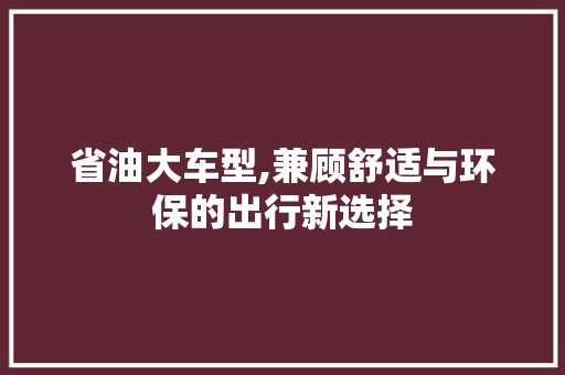 省油大车型,兼顾舒适与环保的出行新选择
