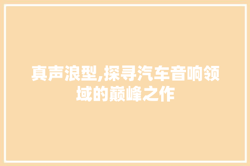 真声浪型,探寻汽车音响领域的巅峰之作