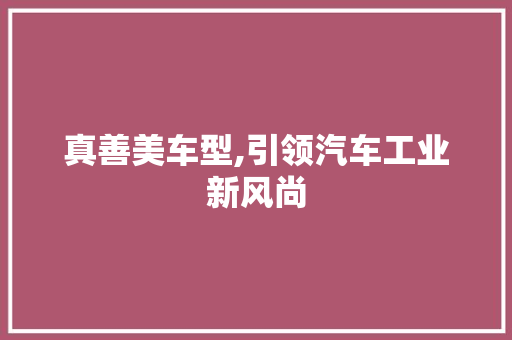 真善美车型,引领汽车工业新风尚