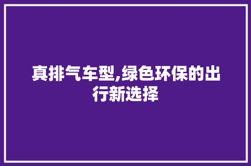 真排气车型,绿色环保的出行新选择
