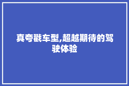 真夸戳车型,超越期待的驾驶体验