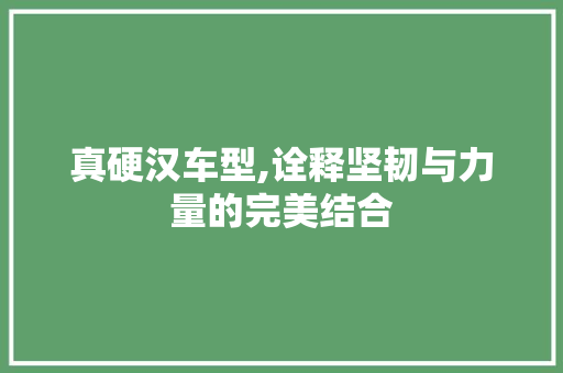 真硬汉车型,诠释坚韧与力量的完美结合