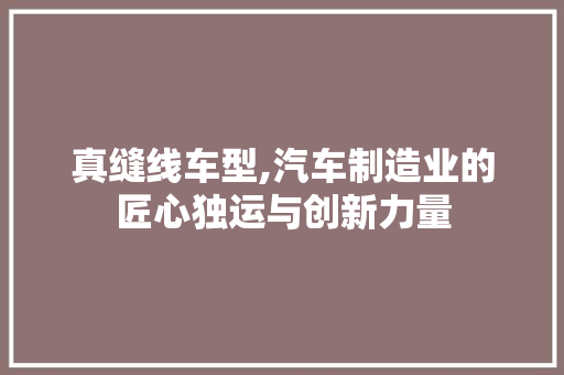 真缝线车型,汽车制造业的匠心独运与创新力量