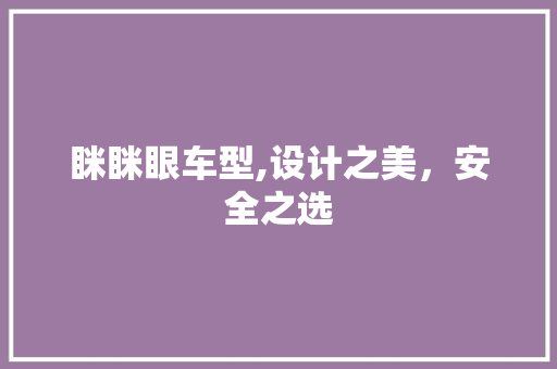 眯眯眼车型,设计之美，安全之选
