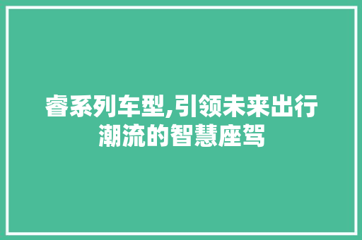 睿系列车型,引领未来出行潮流的智慧座驾 车身配件