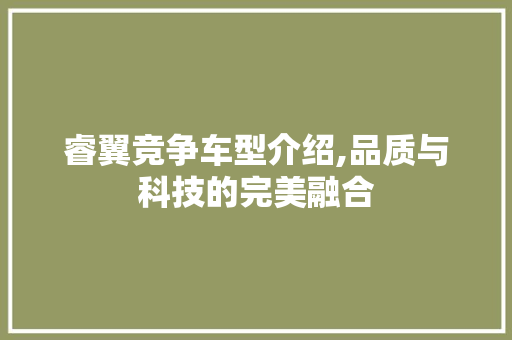 睿翼竞争车型介绍,品质与科技的完美融合 发动机配件