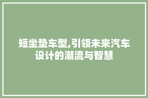 短坐垫车型,引领未来汽车设计的潮流与智慧
