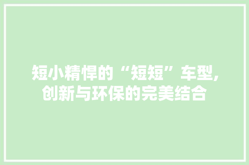 短小精悍的“短短”车型,创新与环保的完美结合
