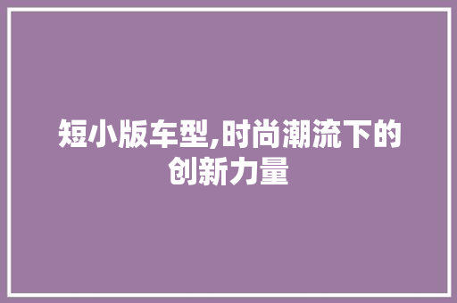 短小版车型,时尚潮流下的创新力量