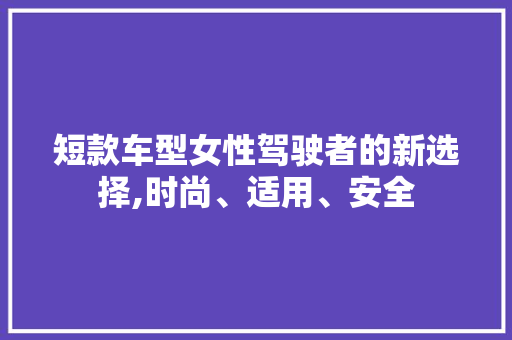 短款车型女性驾驶者的新选择,时尚、适用、安全