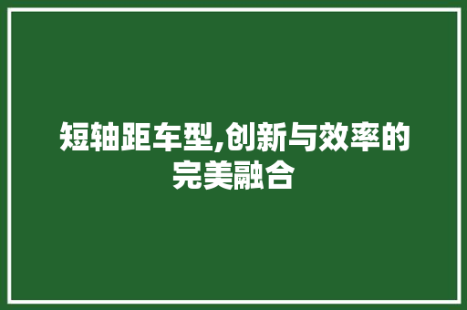 短轴距车型,创新与效率的完美融合