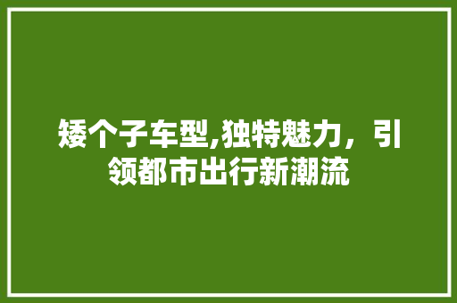 矮个子车型,独特魅力，引领都市出行新潮流
