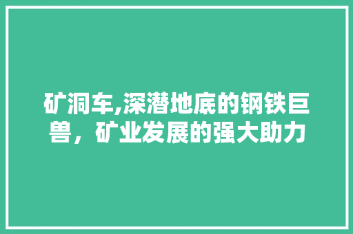矿洞车,深潜地底的钢铁巨兽，矿业发展的强大助力