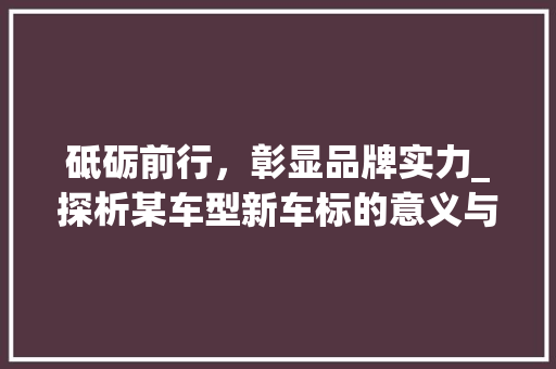 砥砺前行，彰显品牌实力_探析某车型新车标的意义与价值