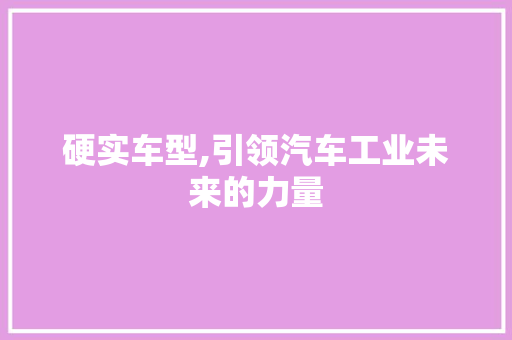 硬实车型,引领汽车工业未来的力量