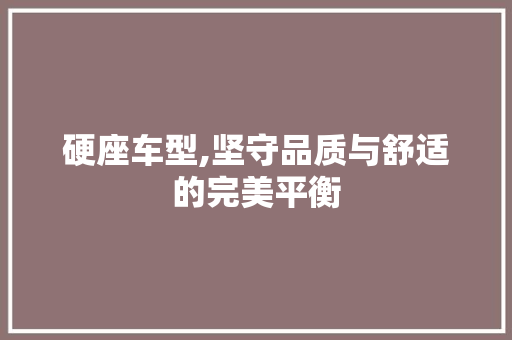 硬座车型,坚守品质与舒适的完美平衡