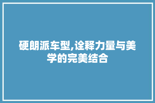 硬朗派车型,诠释力量与美学的完美结合