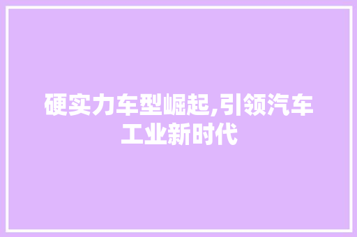 硬实力车型崛起,引领汽车工业新时代