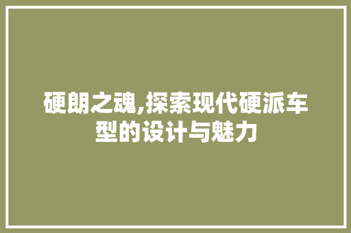硬朗之魂,探索现代硬派车型的设计与魅力