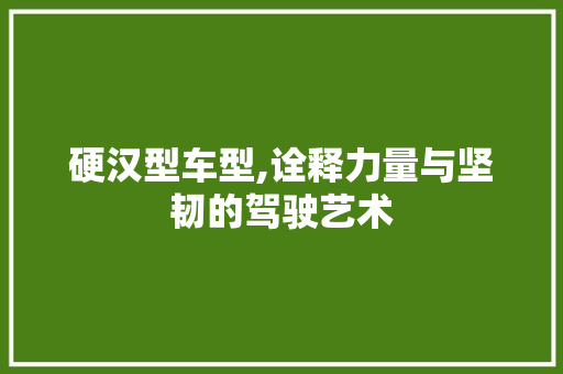 硬汉型车型,诠释力量与坚韧的驾驶艺术